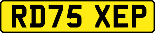 RD75XEP