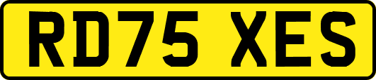 RD75XES