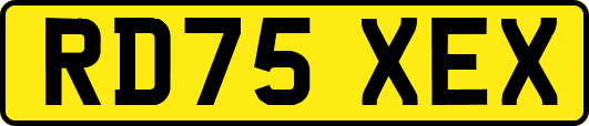 RD75XEX