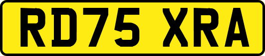 RD75XRA