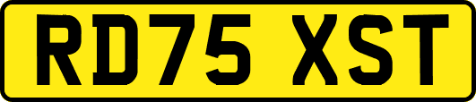 RD75XST