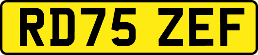 RD75ZEF