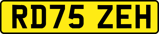 RD75ZEH