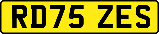 RD75ZES