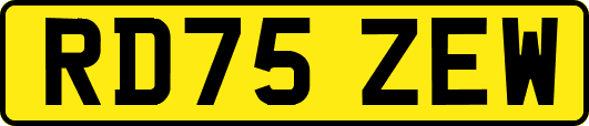 RD75ZEW