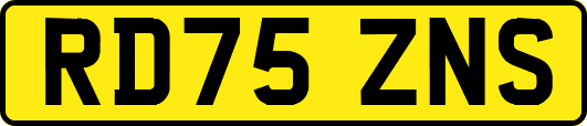 RD75ZNS