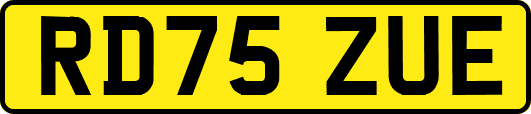 RD75ZUE