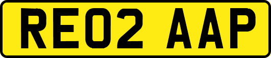 RE02AAP