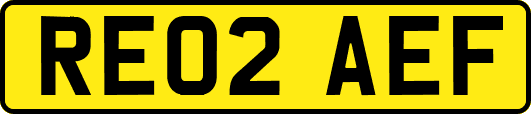 RE02AEF