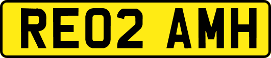 RE02AMH
