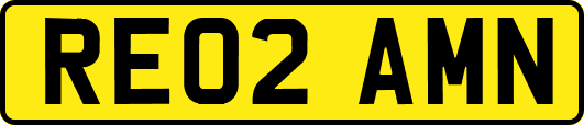 RE02AMN