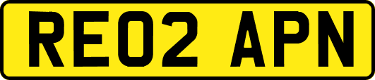 RE02APN