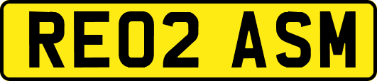 RE02ASM