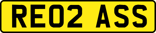RE02ASS