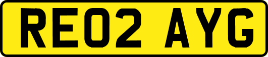 RE02AYG