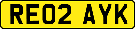 RE02AYK
