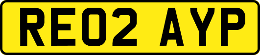 RE02AYP