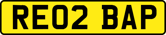 RE02BAP