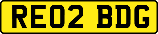 RE02BDG