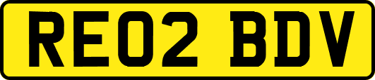 RE02BDV