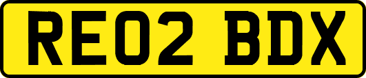 RE02BDX