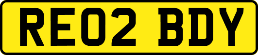 RE02BDY