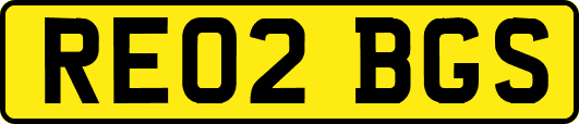 RE02BGS