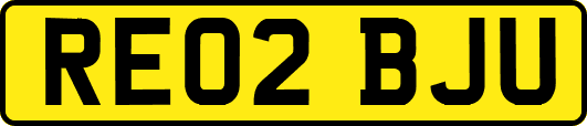 RE02BJU