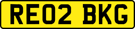 RE02BKG