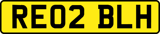 RE02BLH
