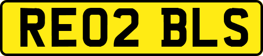 RE02BLS