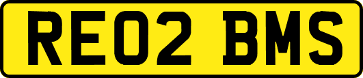 RE02BMS