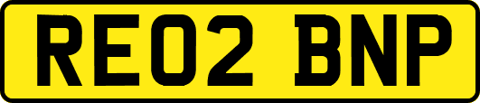 RE02BNP