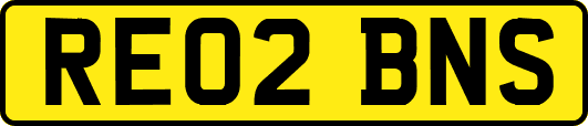 RE02BNS