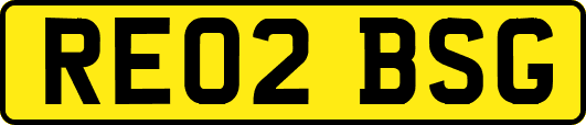 RE02BSG