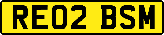 RE02BSM