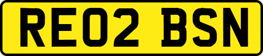 RE02BSN
