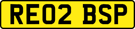 RE02BSP