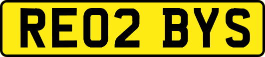 RE02BYS