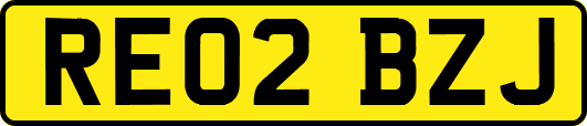RE02BZJ