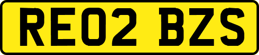 RE02BZS