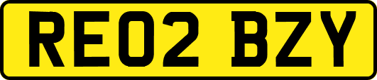 RE02BZY