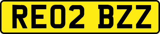 RE02BZZ