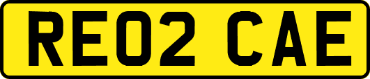 RE02CAE