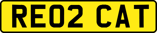 RE02CAT