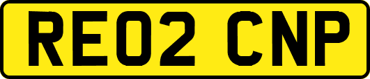 RE02CNP