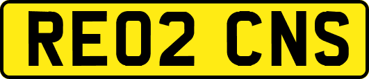RE02CNS