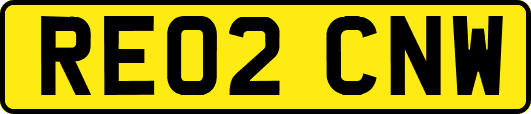 RE02CNW