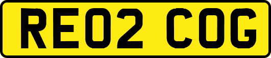 RE02COG