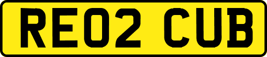 RE02CUB